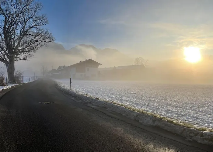 Seelenbaumlerin