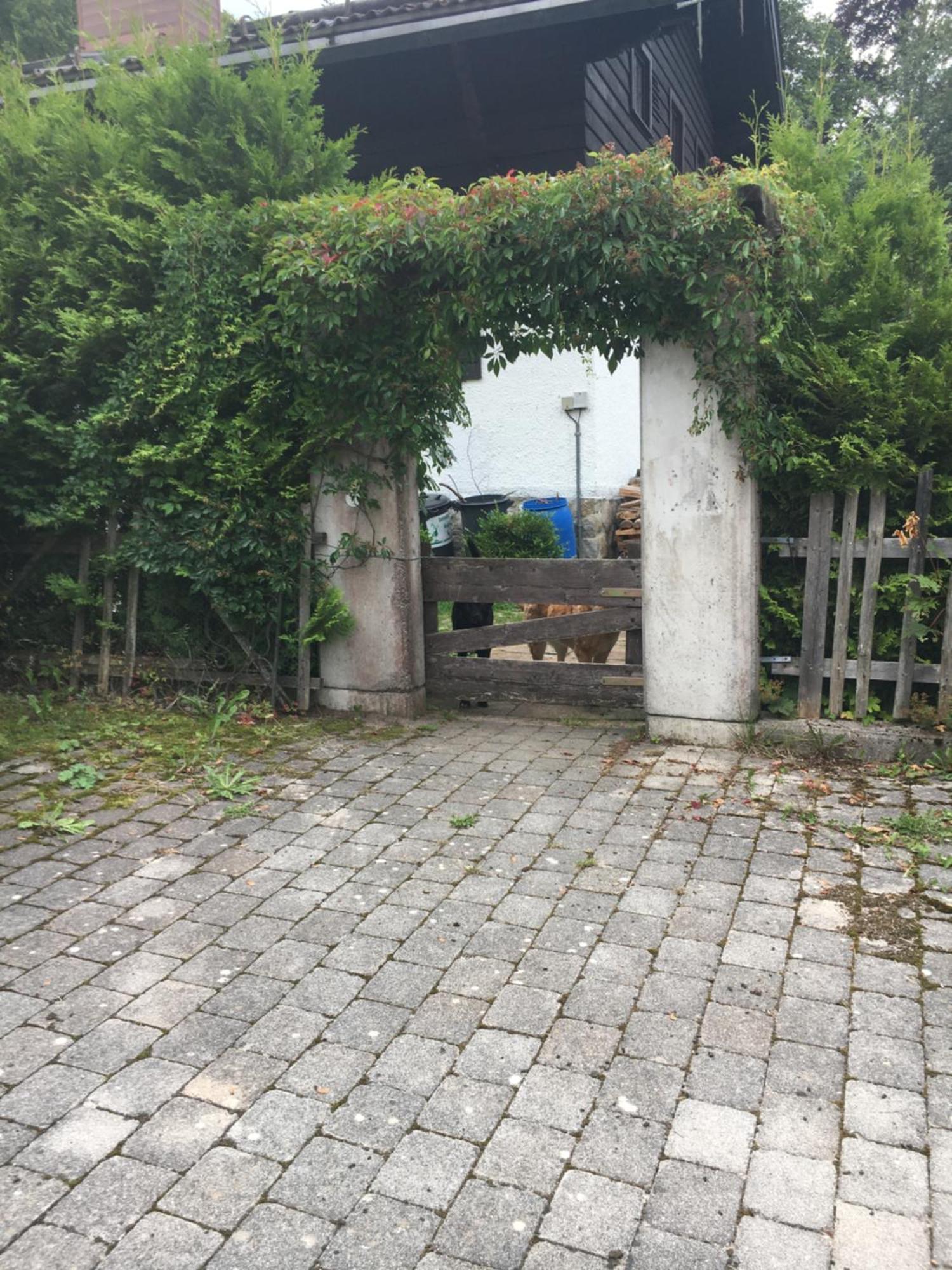 Seelenbaumlerin *