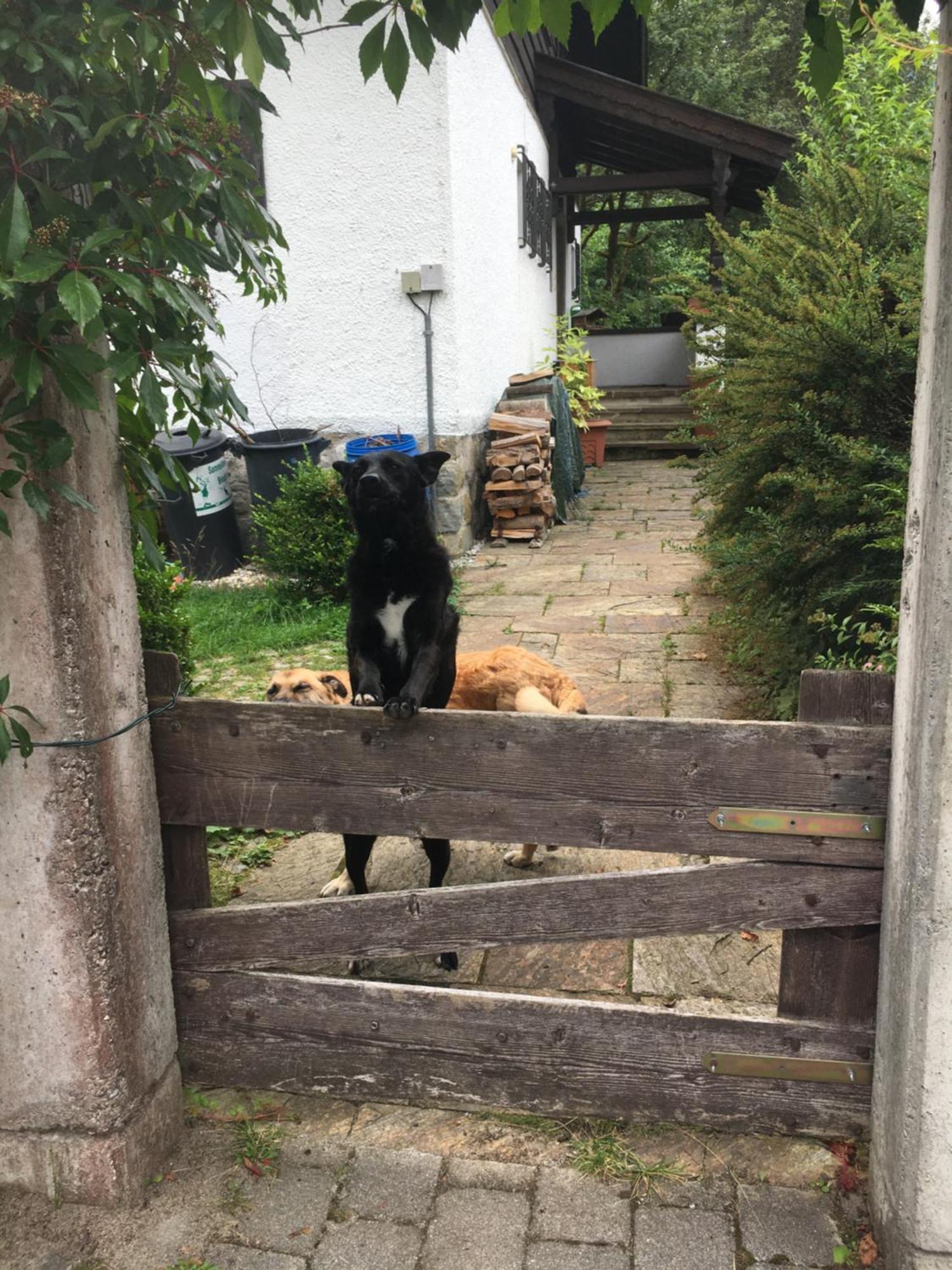 Séjour chez l'habitant Seelenbaumlerin *