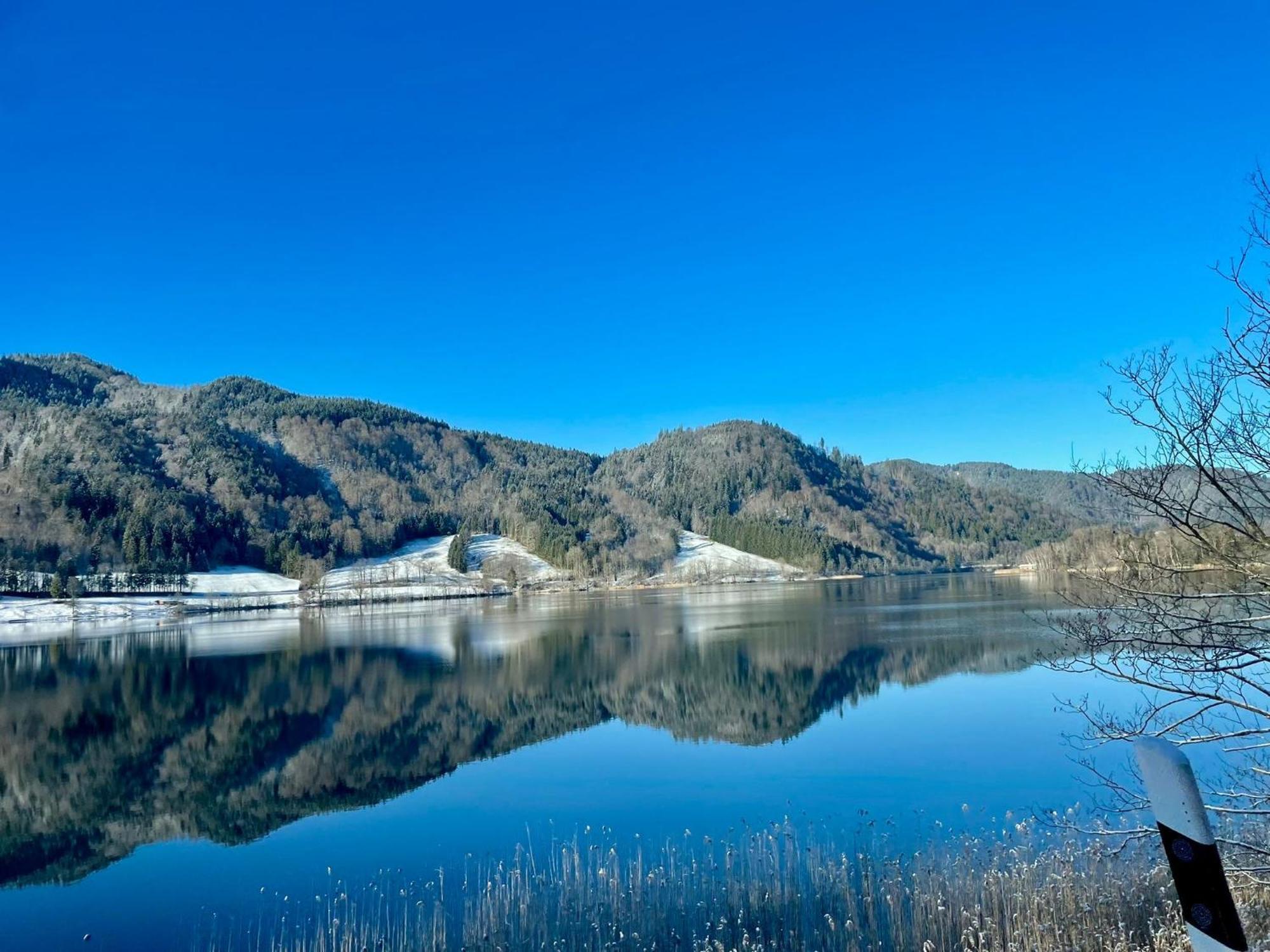Seelenbaumlerin Schliersee